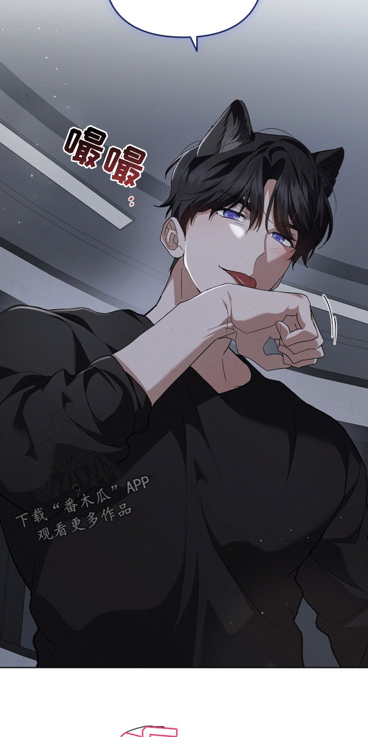 小白狗奇遇记漫画,第60章：成结3图