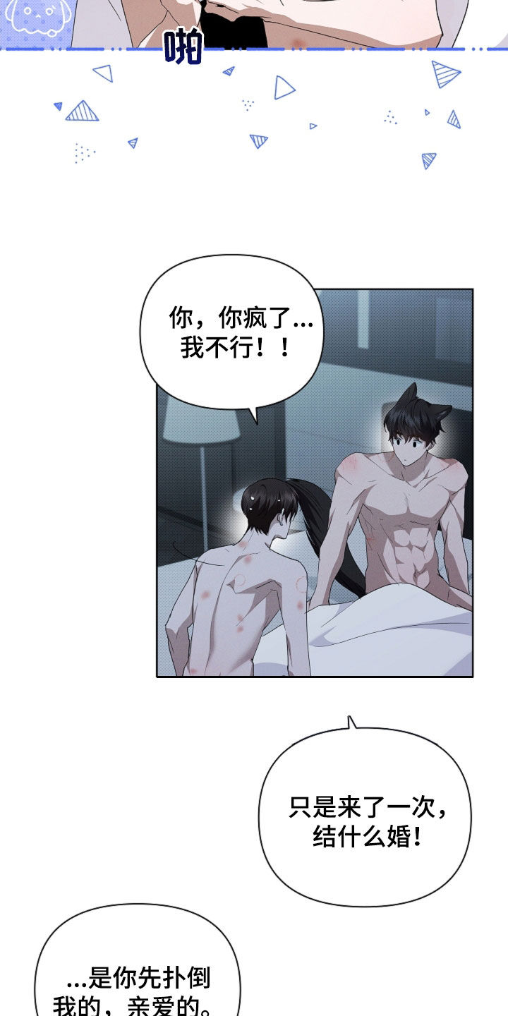 小白狗奇遇记漫画,第64章：我们得结婚了1图