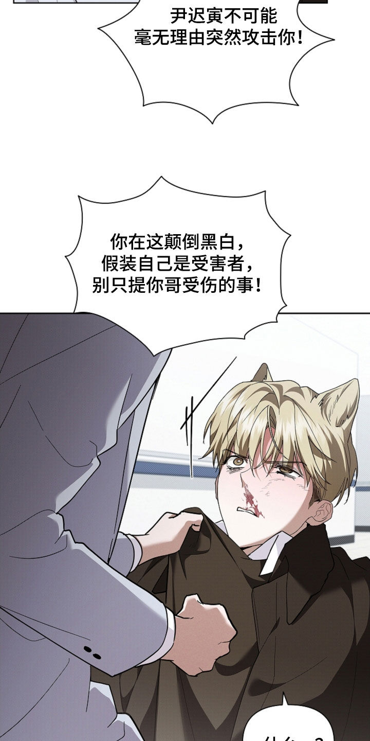 小白狗奇遇记漫画,第88章：【第二季】家人3图