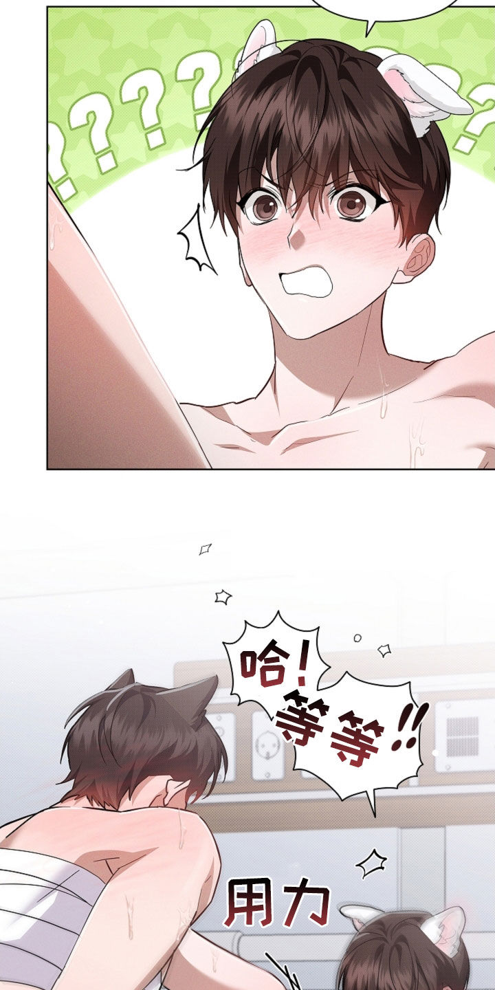 小白狗奇遇记漫画,第90章：【第二季】可以了3图