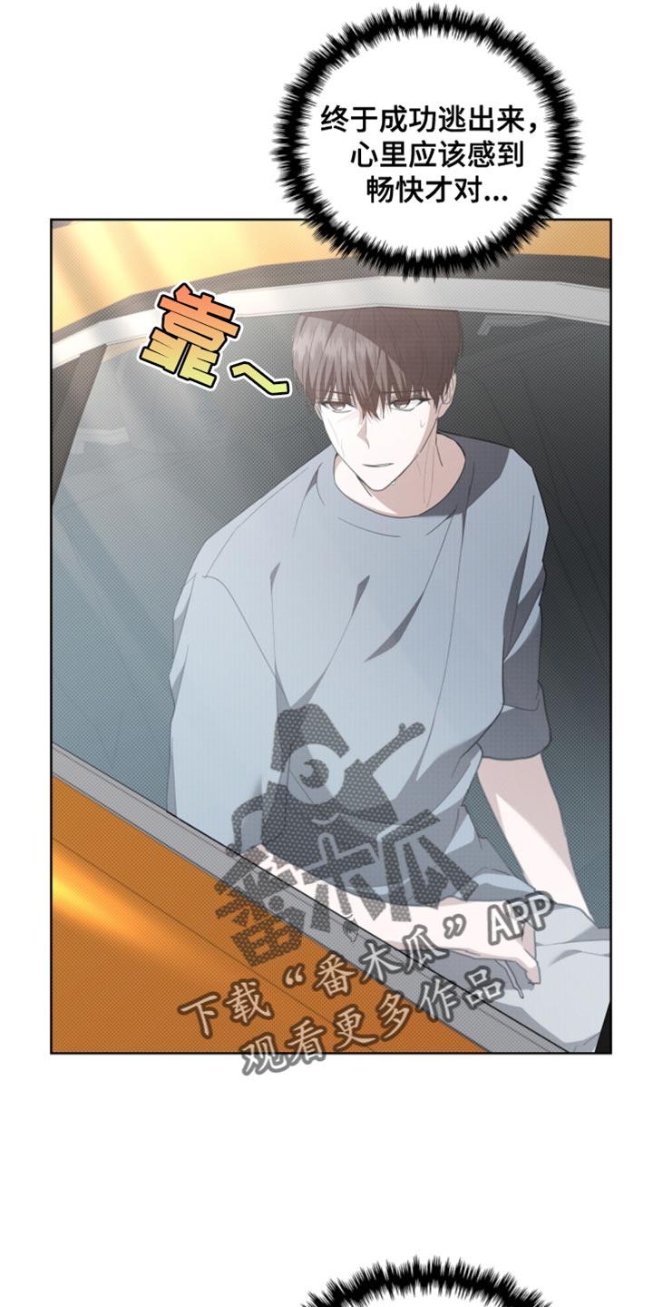 小白狗奇遇记漫画,第37章：我现在去找你1图