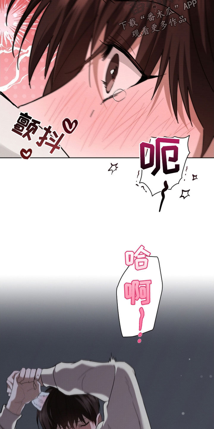 小白狗奇遇记漫画,第60章：成结5图