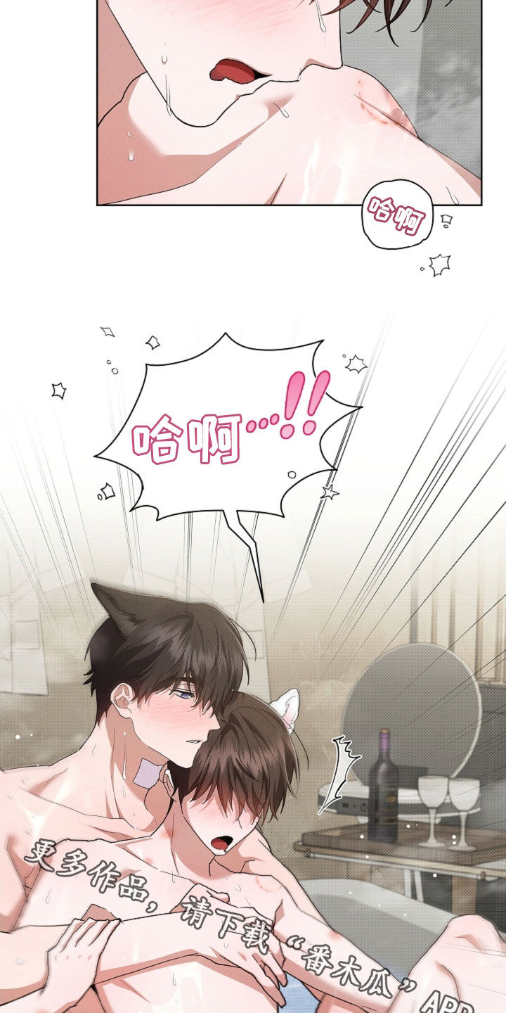 小白狗奇遇记漫画,第95章：【第二季】我闯祸了5图