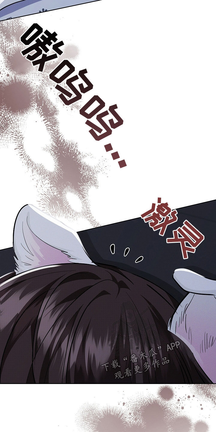 小白狗奇遇记漫画,第46章：这是什么2图