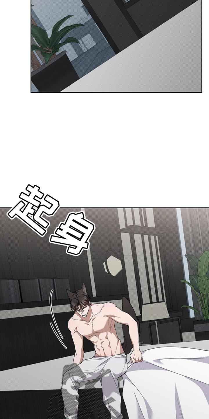 小白狗奇遇记漫画,第38章：晕倒3图