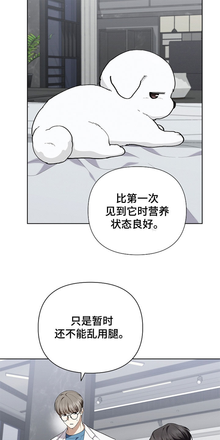 小白狗奇遇记漫画,第36章：打电话1图