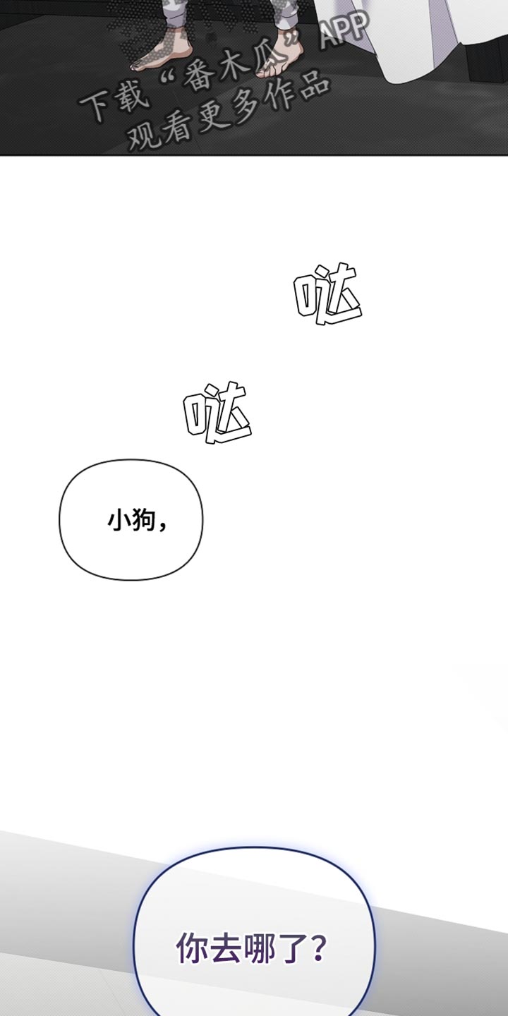 小白狗奇遇记漫画,第38章：晕倒4图