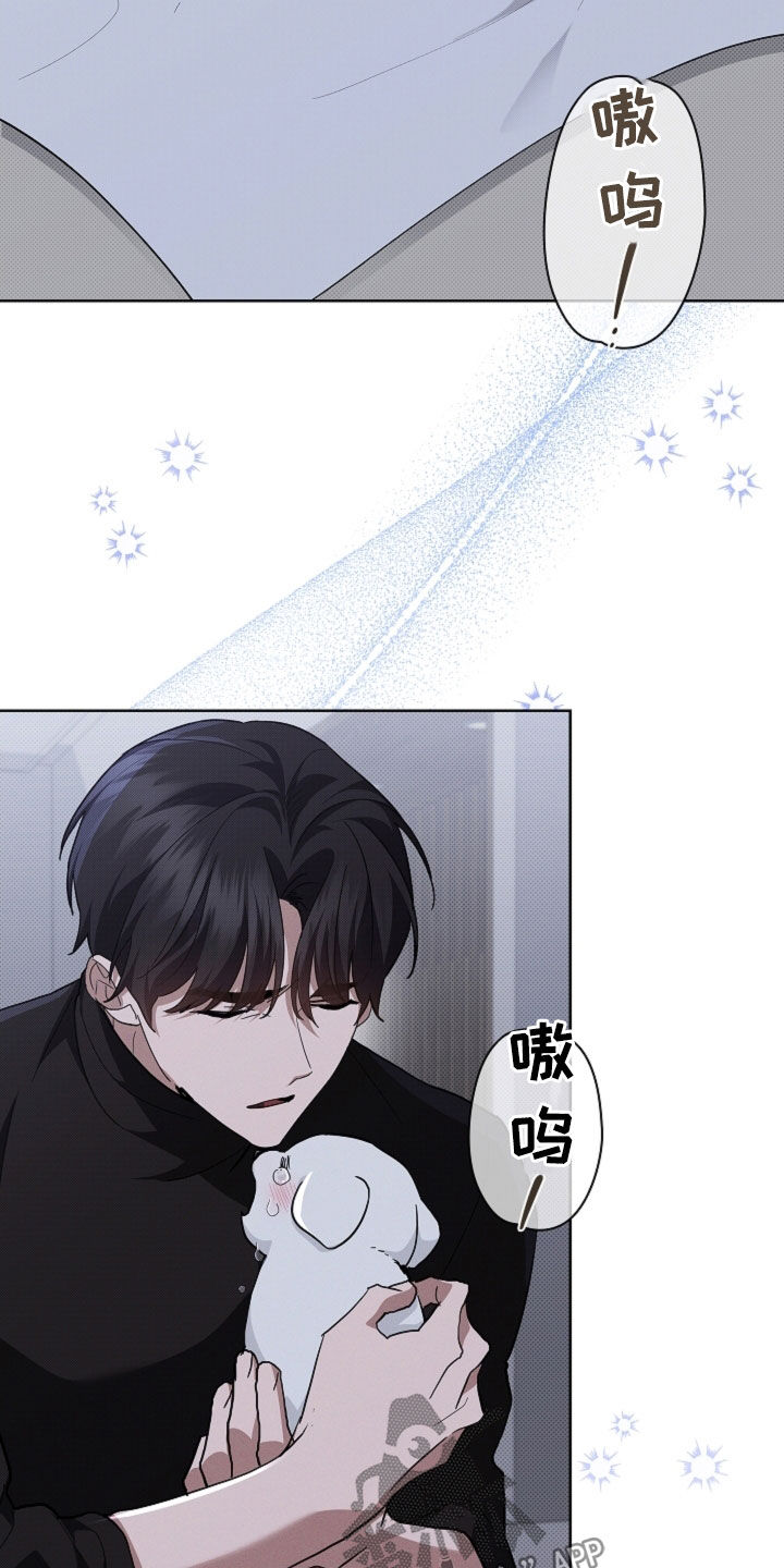 小白狗奇遇记漫画,第70章：我不相信（第一季完结）5图
