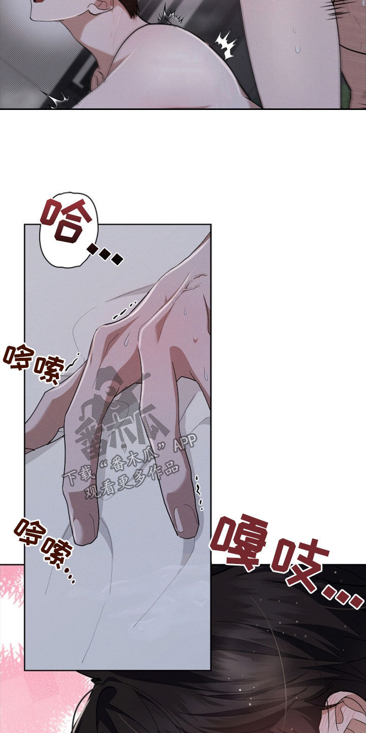 小白狗奇遇记漫画,第60章：成结3图