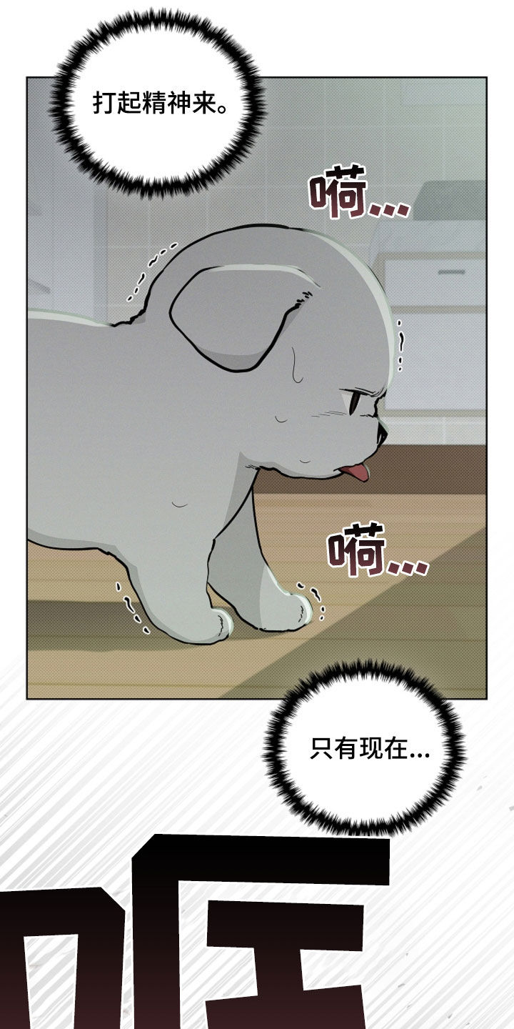 小白狗奇遇记漫画,第40章：逃跑3图
