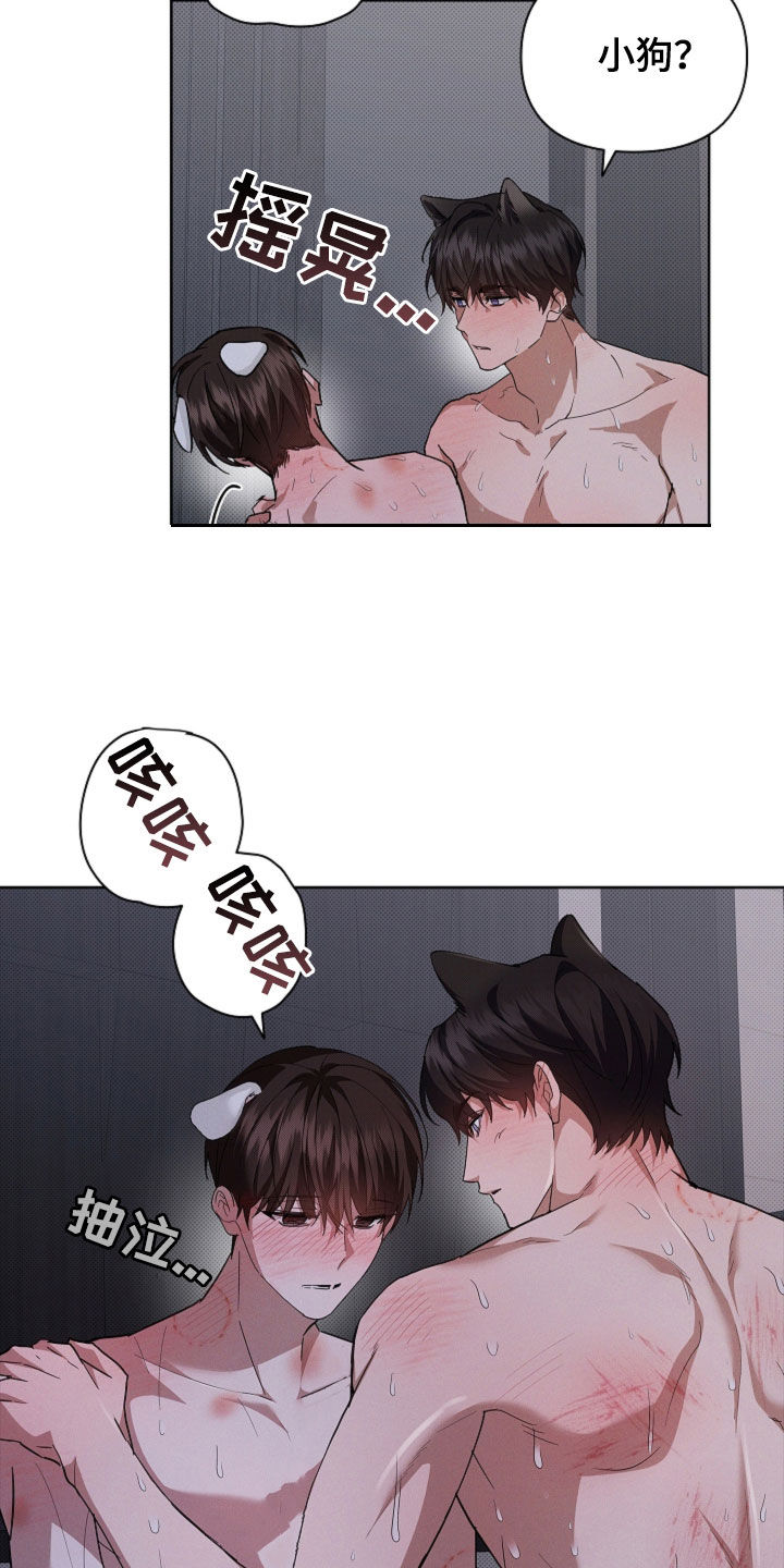 小白狗奇遇记漫画,第61章：真好看2图