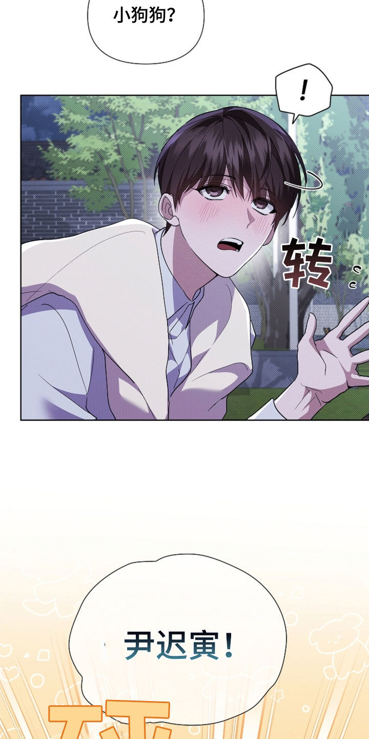 小白狗奇遇记漫画,第69章：果然很聪明4图
