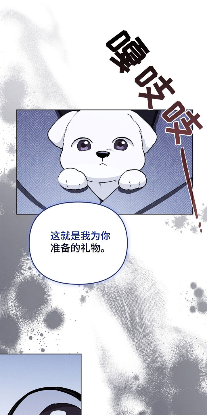 小白狗奇遇记漫画,第44章：大礼4图