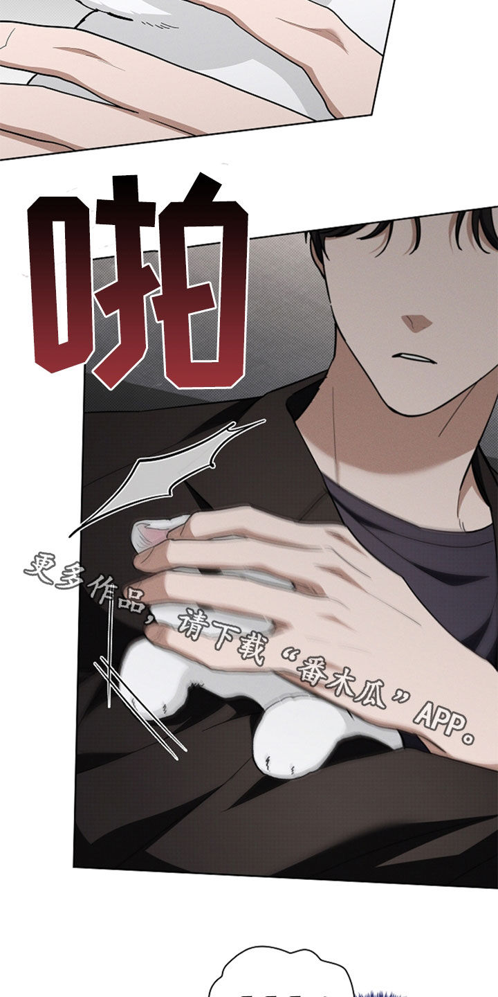 小白狗奇遇记漫画,第35章：你算什么东西3图