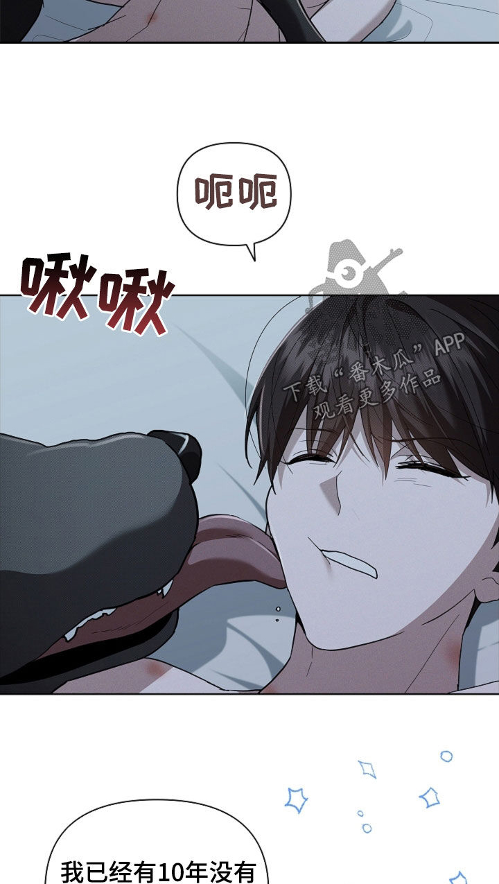小白狗奇遇记漫画,第64章：我们得结婚了5图