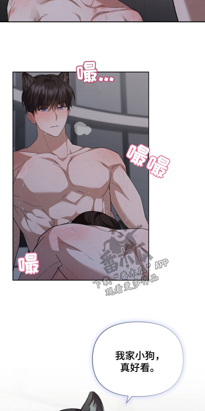 小白狗奇遇记漫画,第61章：真好看5图
