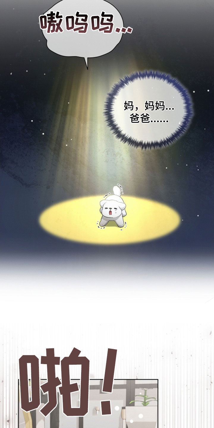 小白狗奇遇记漫画,第100章：【番外】还得我来3图
