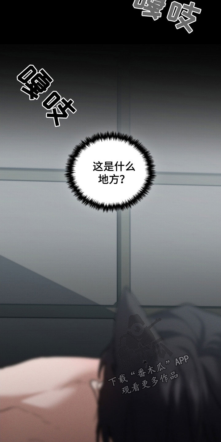小白狗奇遇记漫画,第92章：【第二季】受伤5图