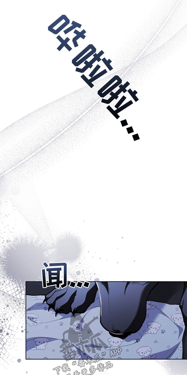小白狗奇遇记漫画,第47章：他想攻击我4图