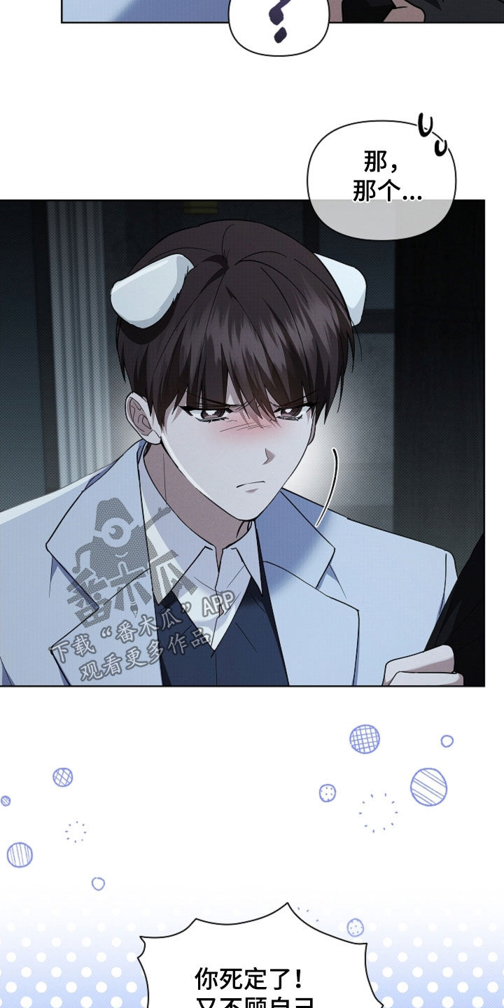 小白狗奇遇记漫画,第84章：【第二季】受伤5图