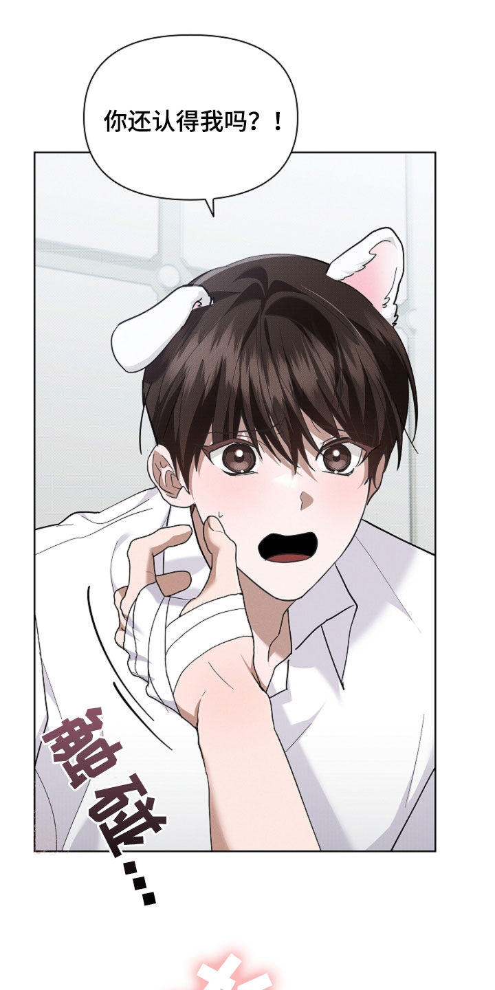 小白狗奇遇记漫画,第89章：【第二季】不可能发生1图