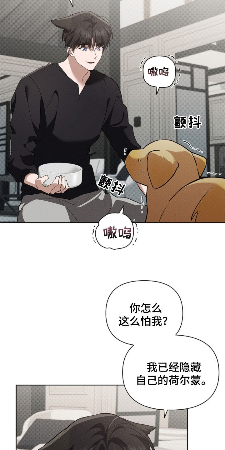 小白狗奇遇记漫画,第100章：【番外】还得我来1图