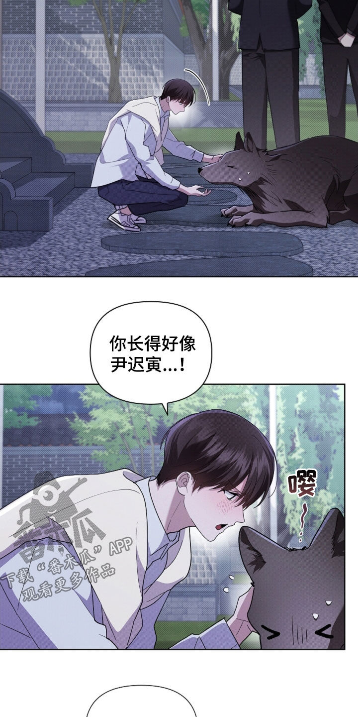 小白狗奇遇记漫画,第69章：果然很聪明3图