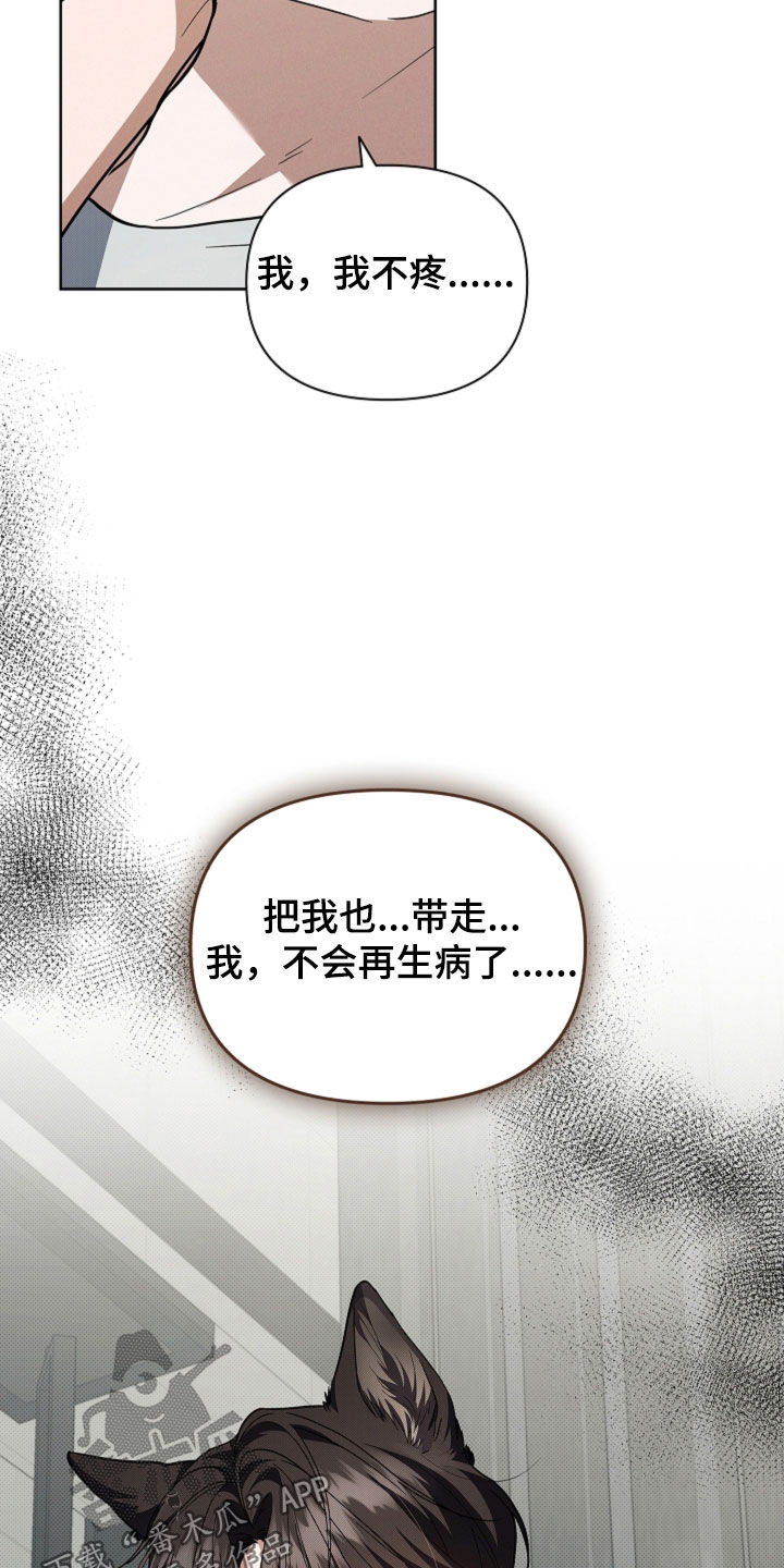 小白狗奇遇记漫画,第41章：体弱多病2图
