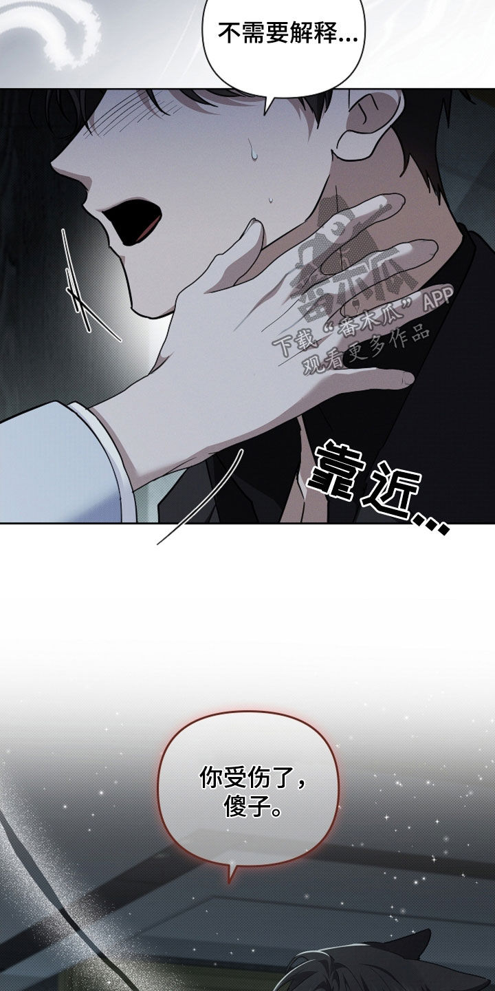 小白狗奇遇记漫画,第84章：【第二季】受伤2图