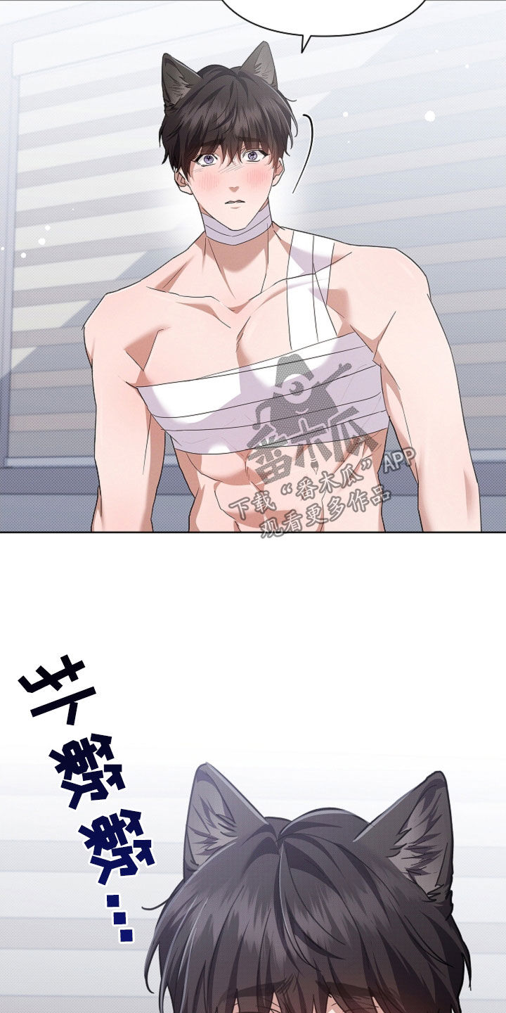 小白狗奇遇记漫画,第93章：【第二季】不能哭5图