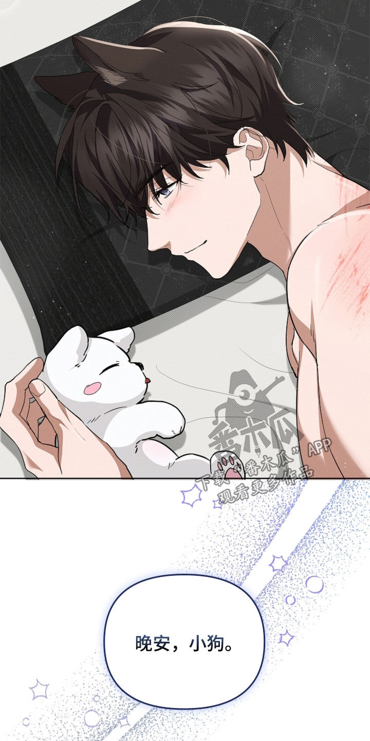 小白狗奇遇记漫画,第62章：食人狼5图