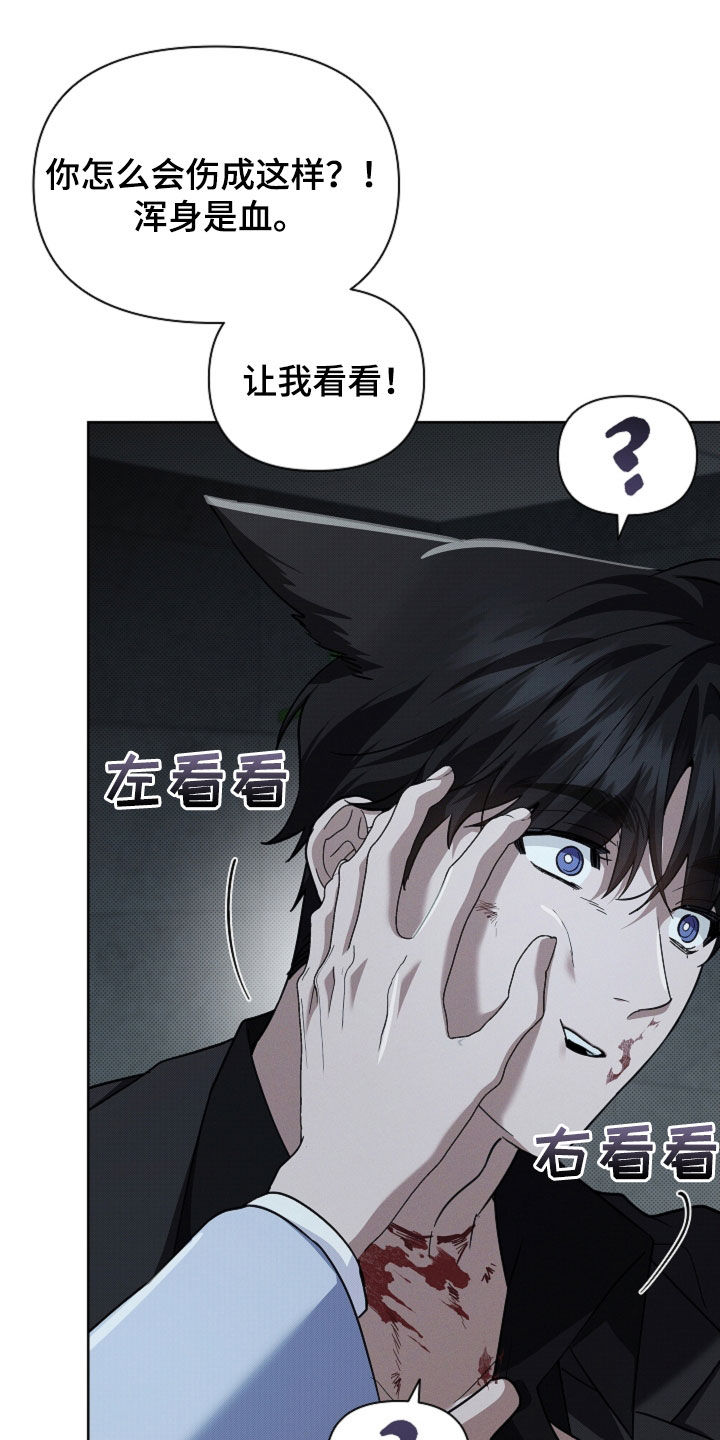 小白狗奇遇记漫画,第84章：【第二季】受伤4图
