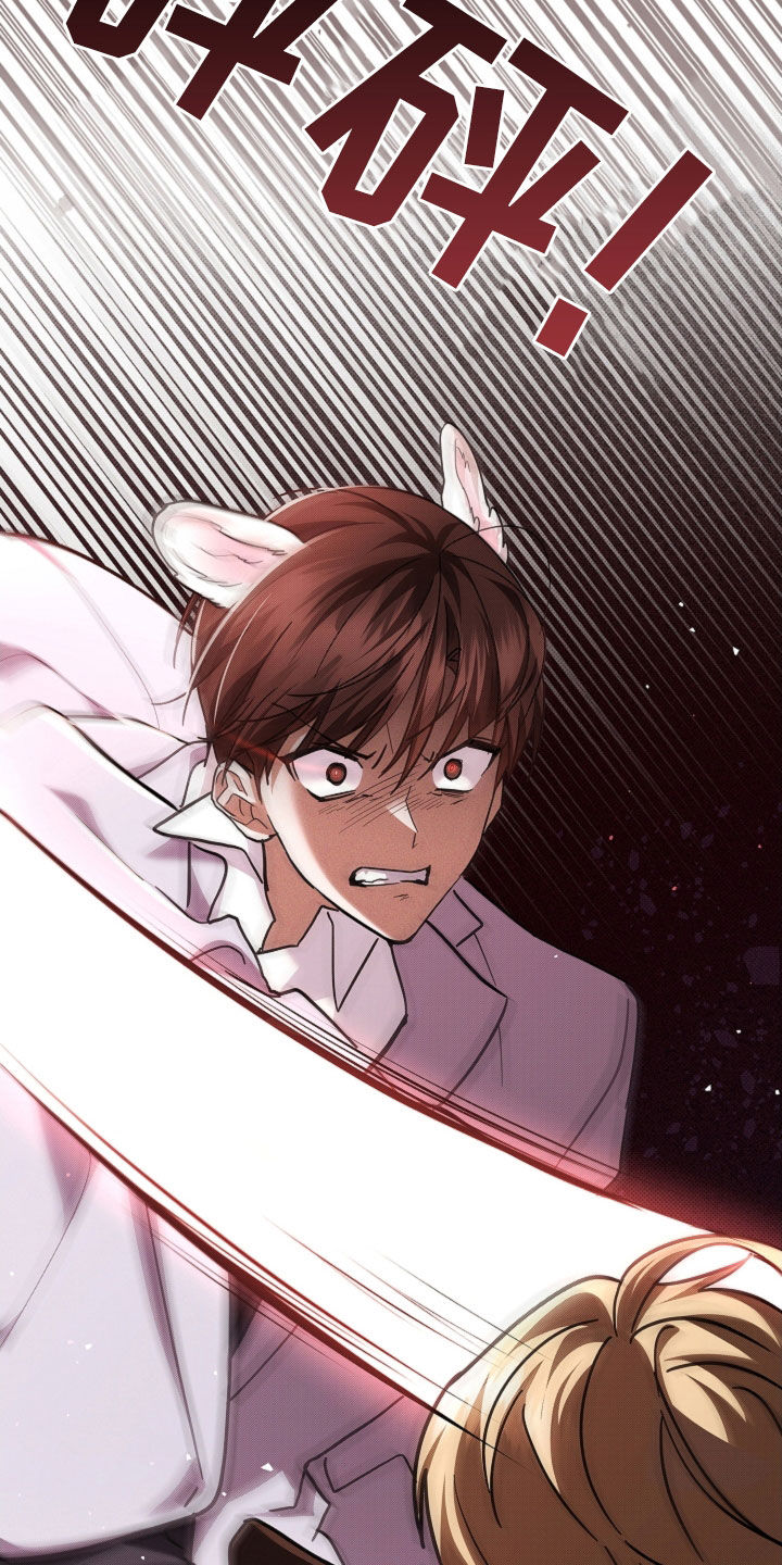 小白狗奇遇记漫画,第88章：【第二季】家人1图