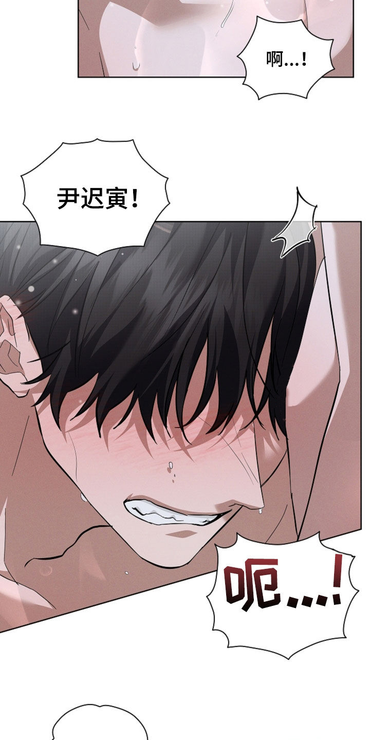 小白狗奇遇记漫画,第77章：【第二季】约定1图