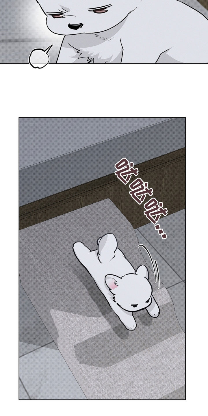 小白狗奇遇记漫画,第79章：【第二季】担心1图