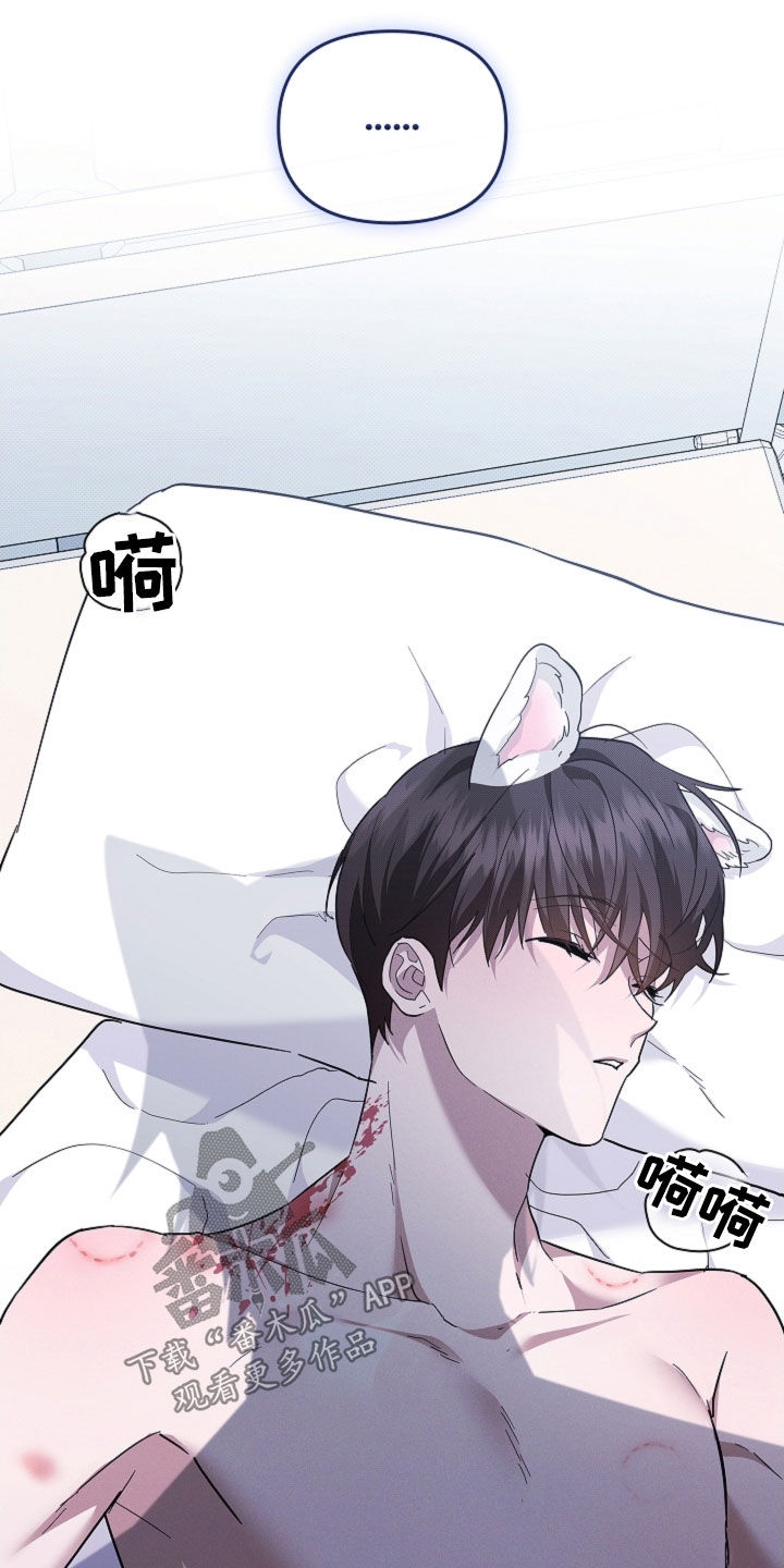 小白狗奇遇记漫画,第87章：【第二季】屠夫4图