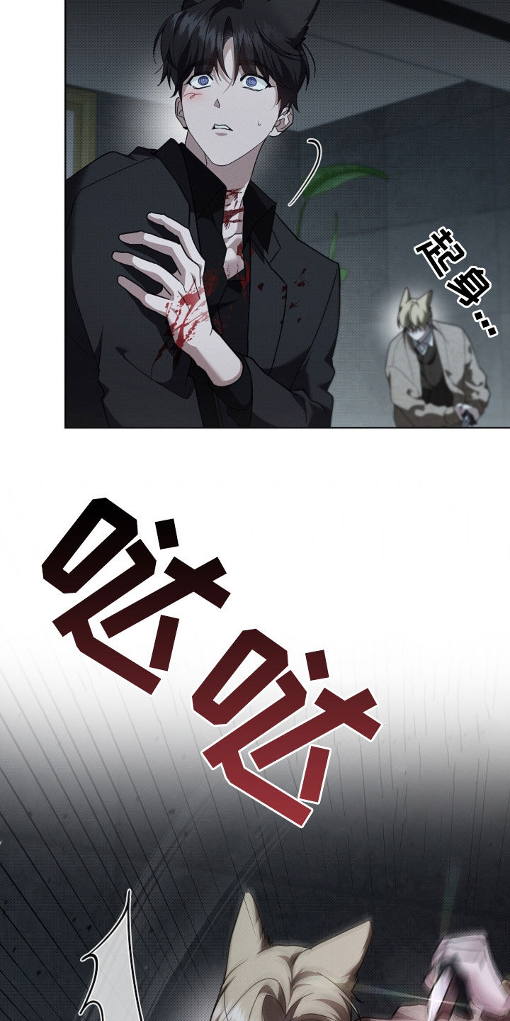 小白狗奇遇记漫画,第84章：【第二季】受伤2图