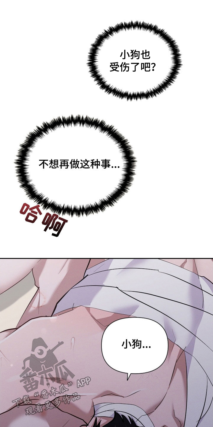 小白狗奇遇记漫画,第92章：【第二季】受伤3图