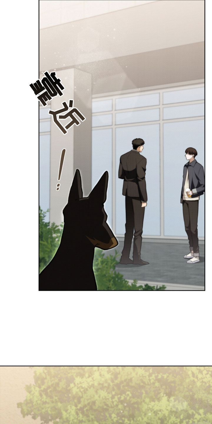 小白狗奇遇记漫画,第56章：叛徒4图