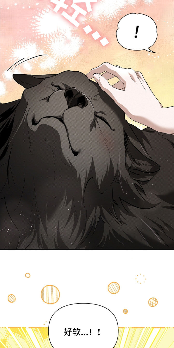 小白狗奇遇记漫画,第64章：我们得结婚了1图