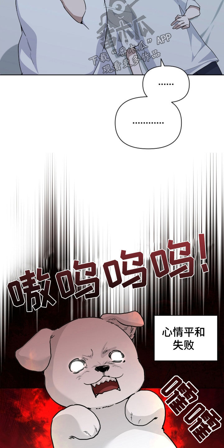 小白狗奇遇记漫画,第65章：做美容1图
