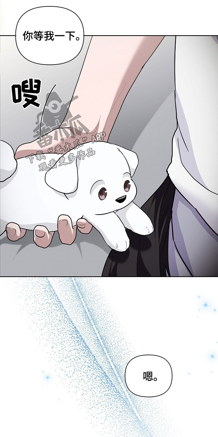 小白狗奇遇记漫画,第72章：【第二季】真神奇4图