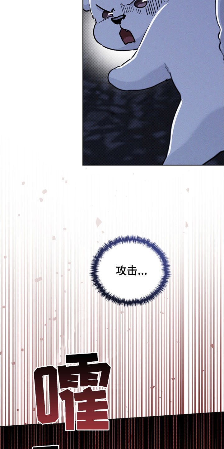 小白狗奇遇记漫画,第47章：他想攻击我4图