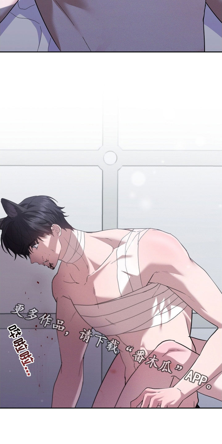 小白狗奇遇记漫画,第87章：【第二季】屠夫5图