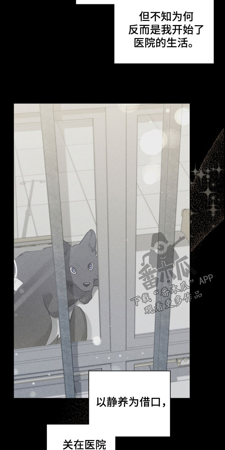 小白狗奇遇记漫画,第85章：【第二季】医院生活2图