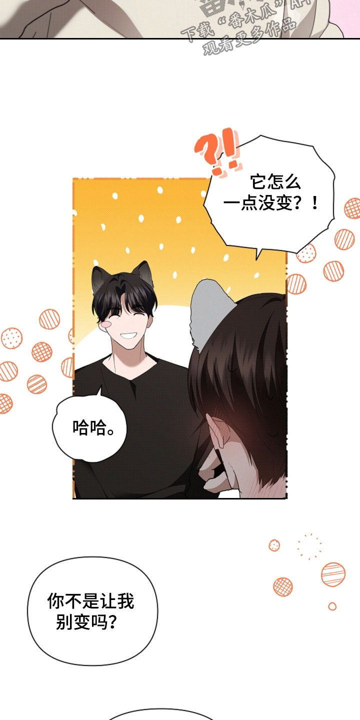 小白狗奇遇记漫画,第58章：是你就没关系5图