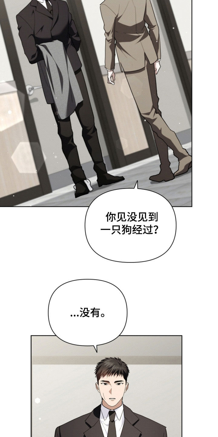 小白狗奇遇记漫画,第52章：真是个神经病2图