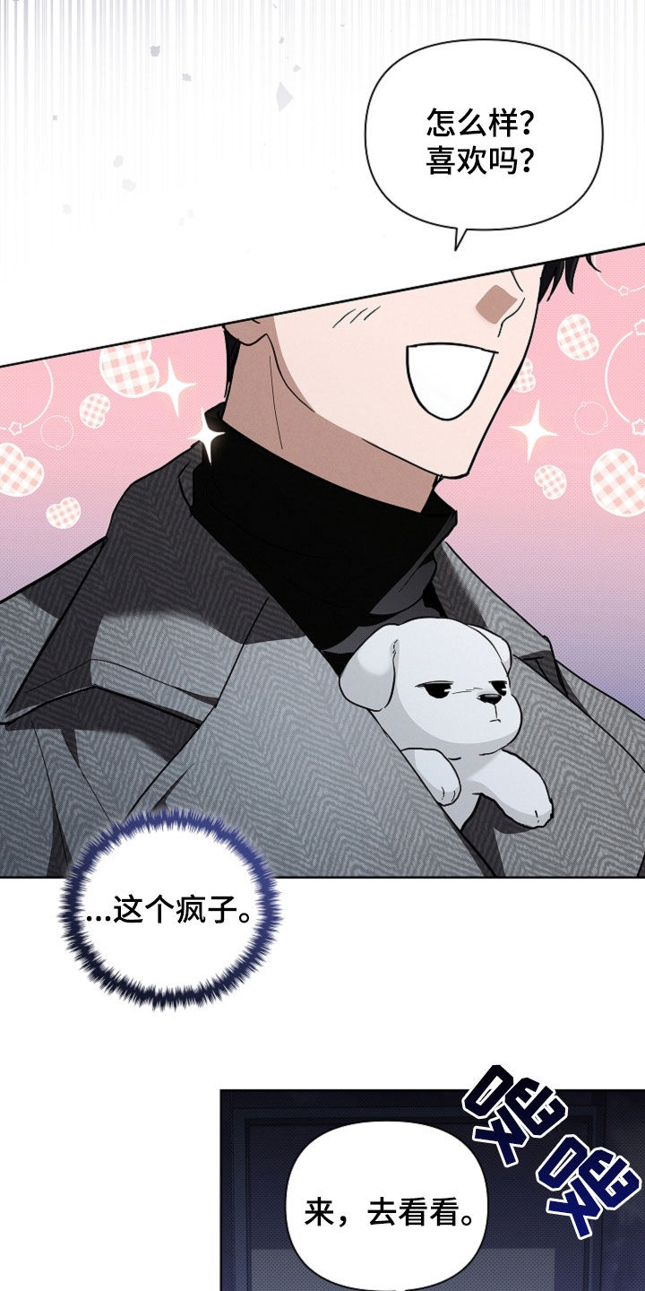 小白狗奇遇记漫画,第44章：大礼2图