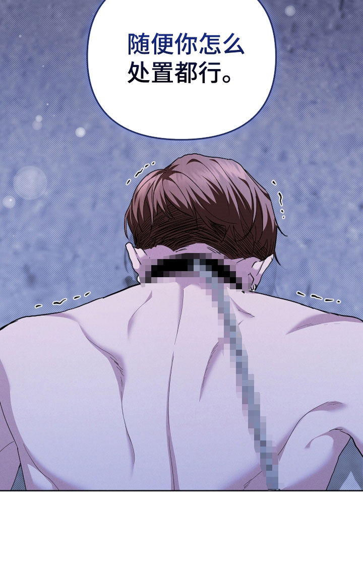 小白狗奇遇记漫画,第44章：大礼1图