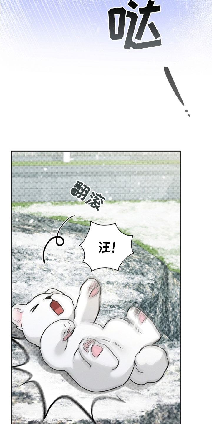 小白狗奇遇记漫画,第80章：【第二季】疯狼5图